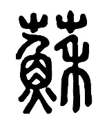 苏炳添主教练3选1后续来了(苏炳添在)